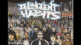 11 - Delinquent Habits - Underground connection