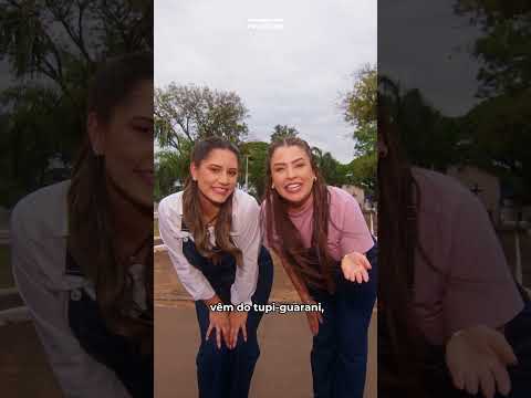 Na Rota do Asfalto Novo, Vida Nova - Guaporema