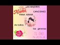 Te Amo Mama