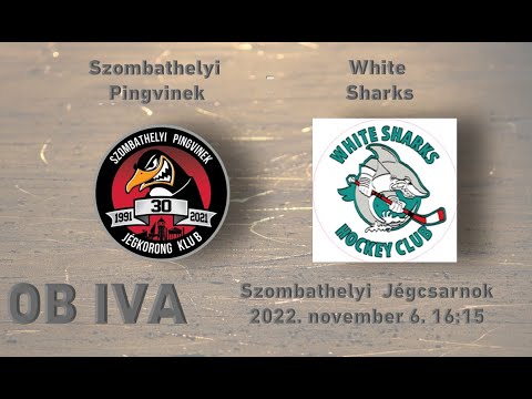 OBIVA 8 Szombathelyi Pingvinek -  White Sharks (élő közvetítés)