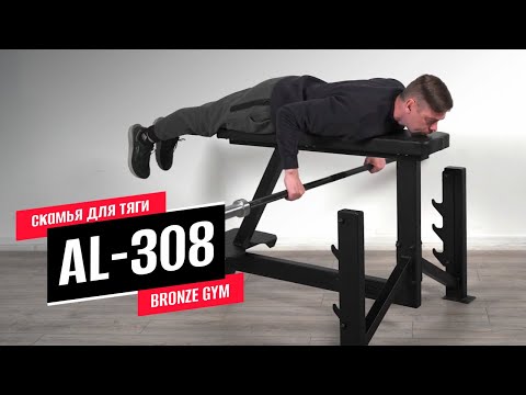 Миниатюра изображения товара Скамья для жима штанги Bronze Gym Partner AL-308