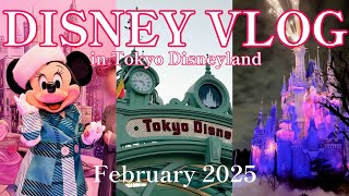【ディズニーvlog】仕事終わりのDヲタが平日17時からディズニーランドを楽しんできた【Reach for the stars】