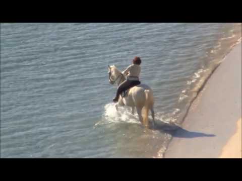 Magalluf Italian Style - Le stagioni di Magalluf