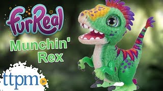 FurReal Munchin&#39; Rex from Hasbro