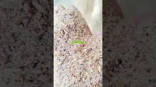 Купить шнековый погрузчик - Изображение 2 | Agroline KG Новый шнековый погрузчик | Изображение 2 - Agroline