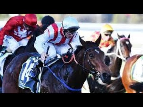 2018 S A J C Robert Sangster  Classic