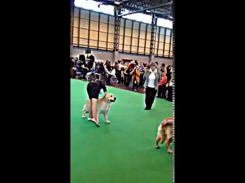 Mikala & Molly Crufts 2012