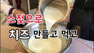 대관령 젖소 치즈 만들고 먹고/ 치즈 체험 / 가족여행/ 치즈 만드는 방법 참 쉽네요