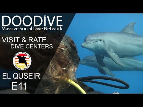Egypt E11 MAGIC DOLPHINS AT RAS EL QUSEIR - VISIT AND RATE EXTRA DIVERS DIVE CENTER -Red See - Egypt