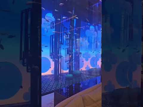 Elements Terrace Lounge in Atlantis the Royal,Dubai!