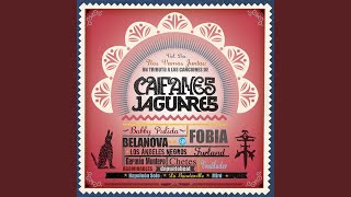 Quisiera Ser Alcohol