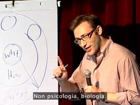 TEDItalia - Simon SInek: Come i grandi leader ispirano azione