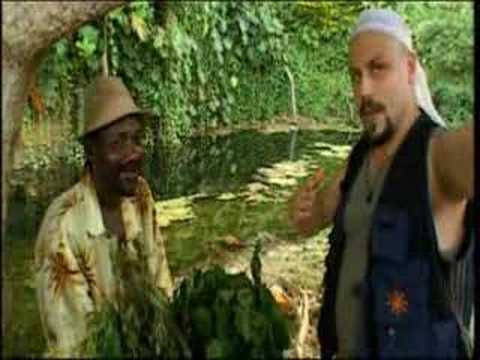 Jamaica Bush Doctor (Madventures II)