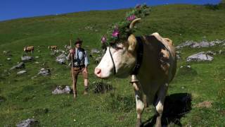 Global Wellness Summit 2016 - 'Leader of Sustainability'