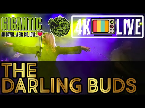 The Darling Buds live 4k Bristol 2025