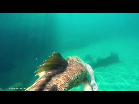 Samaki mtu aonekana baharini