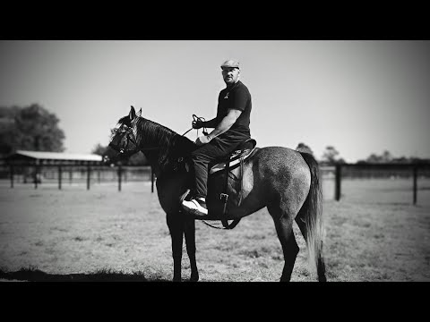 Riff Raff in my Horse Stable! 