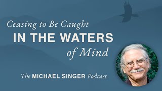 Ceasing to Be Caught in the Waters of Mind | The Michael Singer Podcast