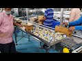 Cream Bell Cone Line With CheckWeigher By Beeta Conveyor