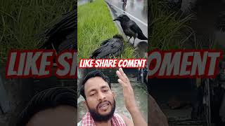 Download lagu khuda mujhse maa ki Mohabbat#islami #trending #youtube #🕌🌹🤲🕋🕋🕋🕋🕋🕋✅ mp3 Download lagu khuda mujhse maa ki Mohabbat#islami #trending #youtube #🕌🌹🤲🕋🕋🕋🕋🕋🕋✅ mp3