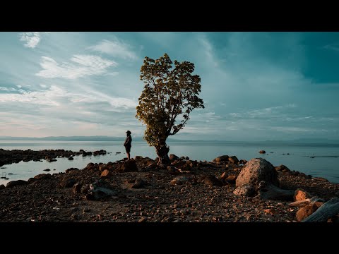 Gbrand - Trap Fade (Official Lyric Video)