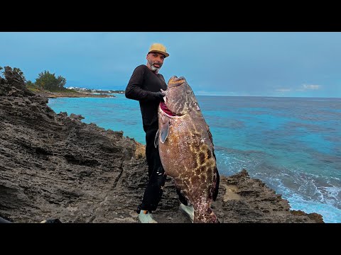 Pyscho Hand Lining a 100 lb MONSTER from shore!