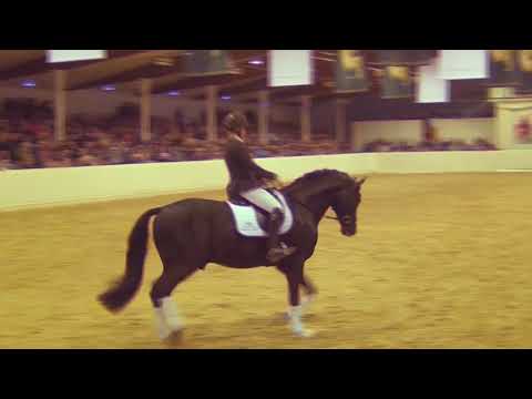 FINEST SELECTION & Therese Nilshagen - Hengstschau Vechta 2018