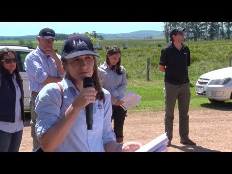 Día de Campo - Unidad Experimental Palo a Pique 2019 - Virginia Pravia