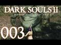 Dark Souls 2 [003] - Kleine Waffe, große Gegner
