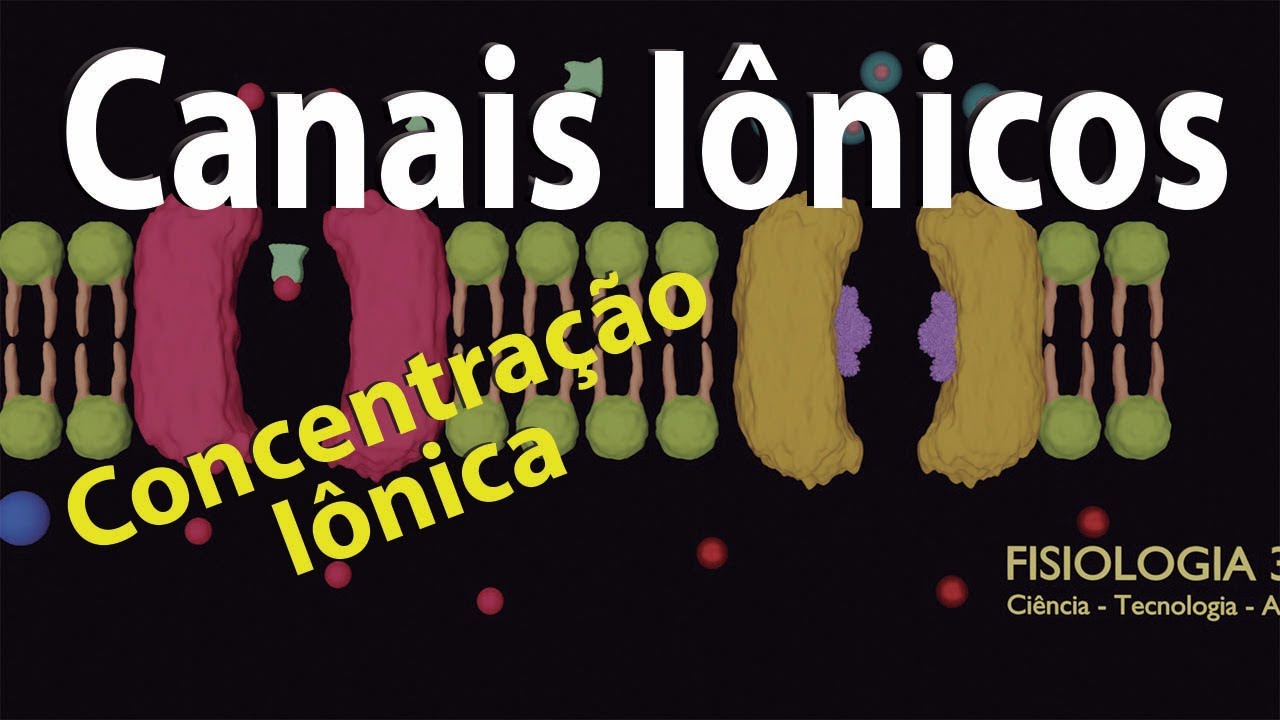 Canais Iônicos e Concentração Iônica - As diferenças bioquímicas entre os liq. intra e extracelular