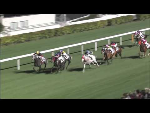 Back In Black - Karis Teetan (2 March)