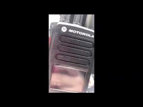 El llamado del 19 video oficial(2020)