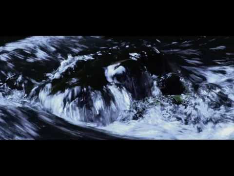 The Voyager Project - Wild Water Tears