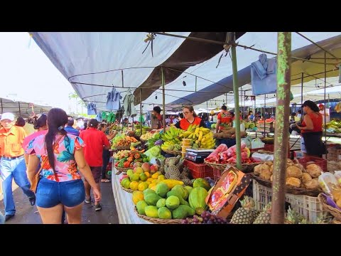 Feira Livre de Itabaiana Sergipe CARNE de 15 Reais no Mercado Municipal