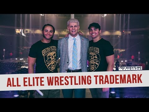 Fight Size Update: Updated WWE MSG Card, Sasha Banks Praises Security Guard Lisa, Jake Roberts, More