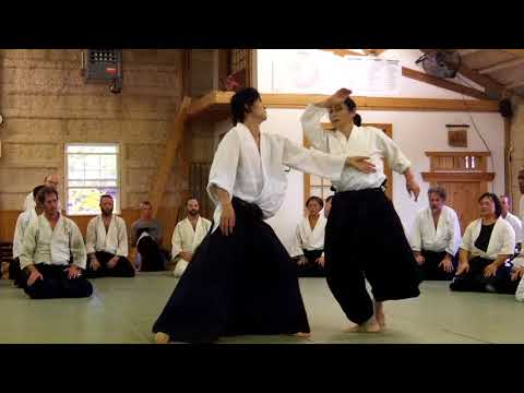 Yoko Okamoto: Shomen kiriotoshi to ushiro tenkan irimi jodan (direct)