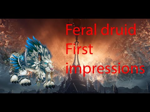 First impressions - Feral druid shadowlands beta