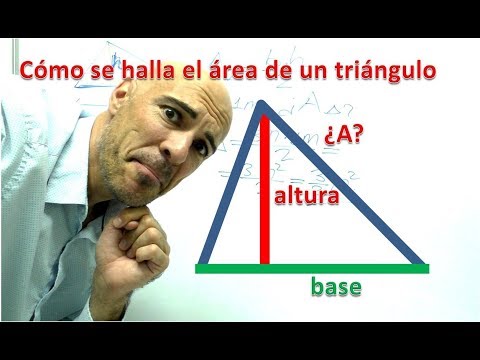 CÓMO SE HALLA EL ÁREA DE UN TRIÁNGULO (conociendo la base y la altura)