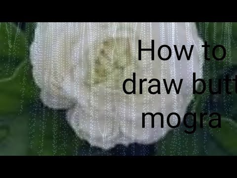 How to draw a butt mogra jasmine flower, grand duke tuscary, #grandduketuscary#