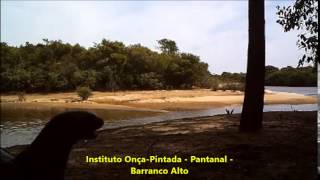 preview picture of video 'Instituto Onça-Pintada - Pantanal'