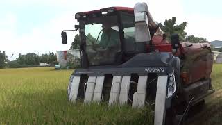 新竹湖口 久保田KUBOTA DR 7130割稻機