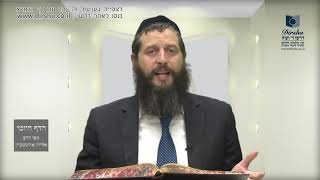 הדף היומי מסכת סוכה דף מא