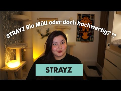 Ist STRAYZ gutes Katzenfutter? | CatWissen