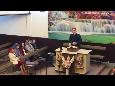 Fr Petrica  de la Vicov de jos