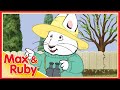 Max Ruby Max Ruby S Groundhog Day Ruby S First Robin Of Spring Grandma S Geraniums Ep 64