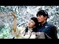 一剪梅 - 刘紫玲 Yi Jian Mei (A Spray of Plum Blossoms) - Liu Ziling