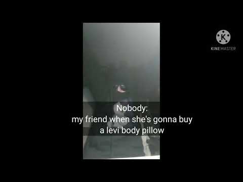 nobody: my friend when she's gonna buy a levi body pillow: