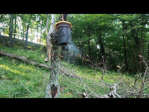 Moultrie Deer Corn Feeder