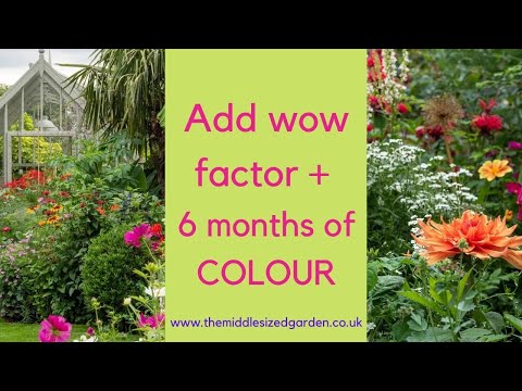 How to make a flower border look amazing