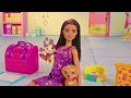 Mattel Lėlė Barbė šuniukų įvaikinimo žaidimų rinkinys